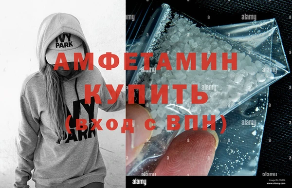 молекула духа Вяземский