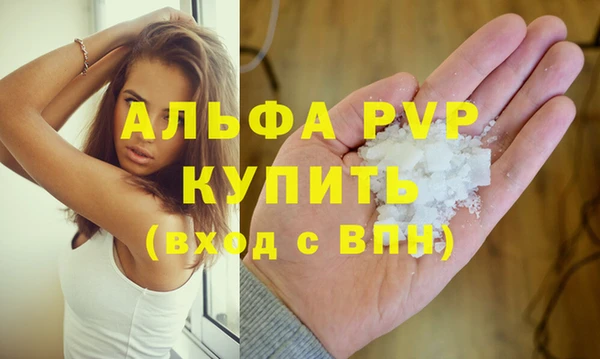 индика Вязники