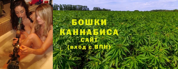молекула духа Вяземский