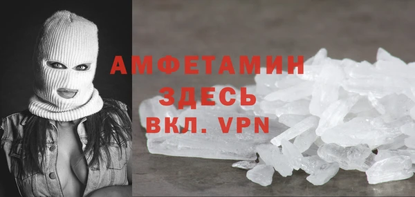 молекула духа Вяземский