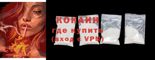 индика Вязники