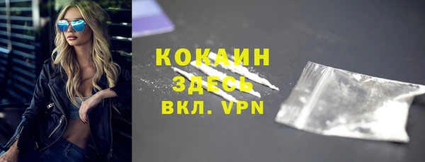 индика Вязники