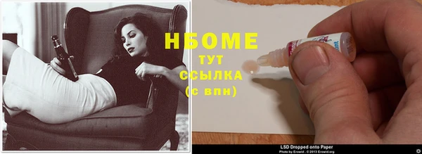 индика Вязники