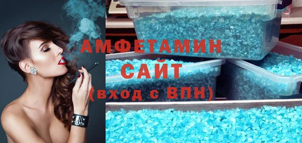 молекула духа Вяземский