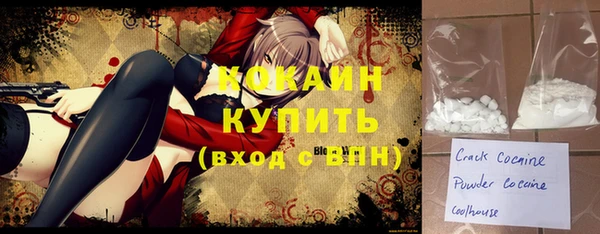 индика Вязники