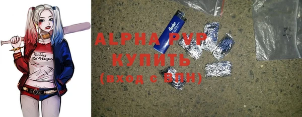 молекула духа Вяземский