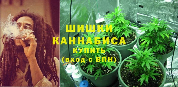 молекула духа Вяземский