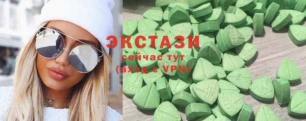 молекула духа Вяземский