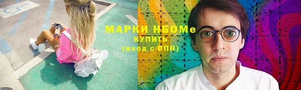 молекула духа Вяземский
