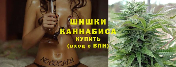 молекула духа Вяземский