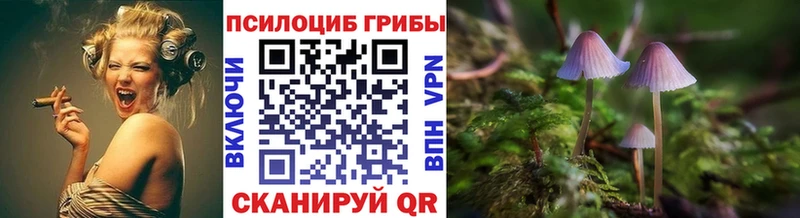 Псилоцибиновые грибы Magic Shrooms  купить наркотики сайты  Железногорск 