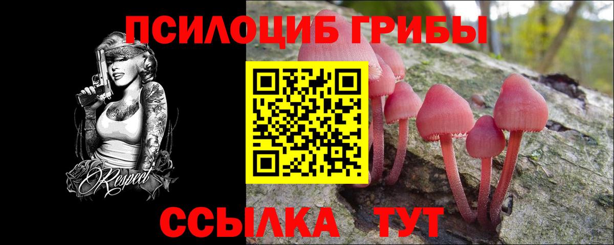 Псилоцибиновые грибы Magic Shrooms  Вход с VPN  Железногорск  Галлюциногенные грибы Cubensis 